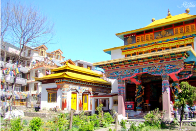 Tibetan Monastery Manali